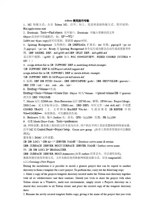 tribon使用技巧