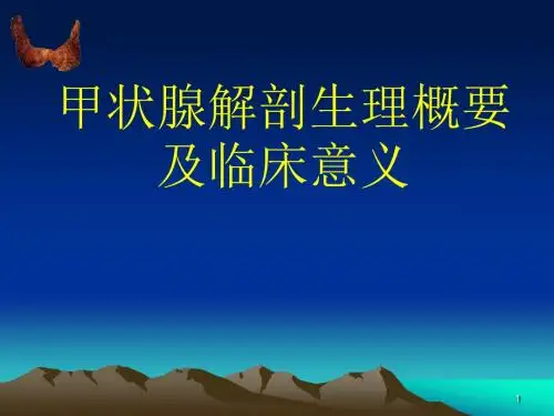 甲状腺基本解剖ppt课件