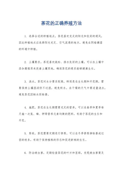 茶花的正确养殖方法
