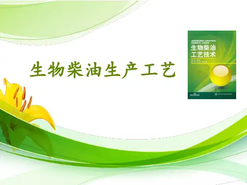 生物柴油生产工艺