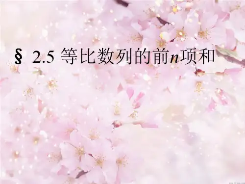 2.5等比数列的前n项和公式(1)