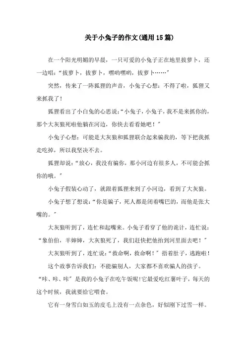 关于小兔子的作文(通用15篇)范文精选