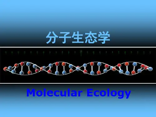 分子生态学新