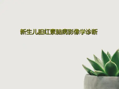 新生儿胆红素脑病影像学诊断共97页