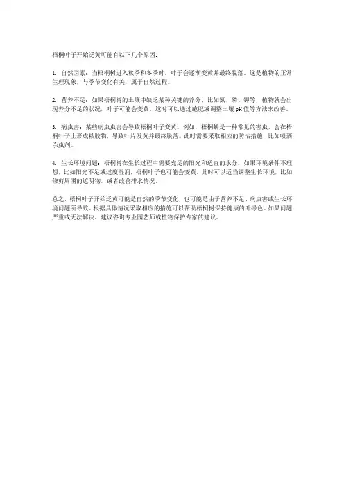 梧桐叶子开始泛黄知乎