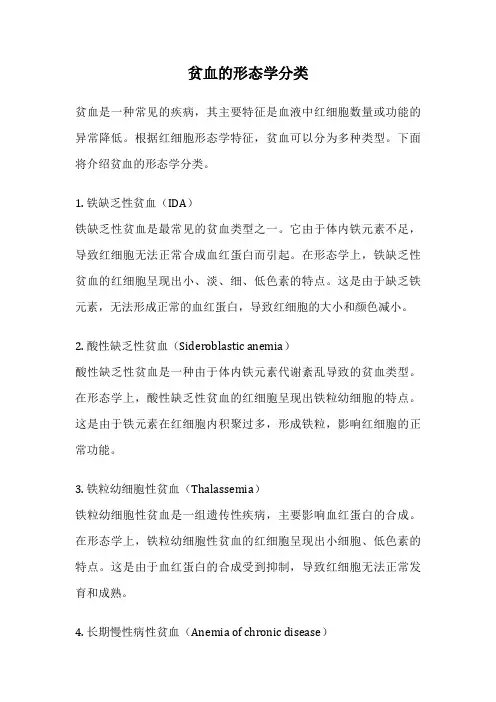 贫血的形态学分类