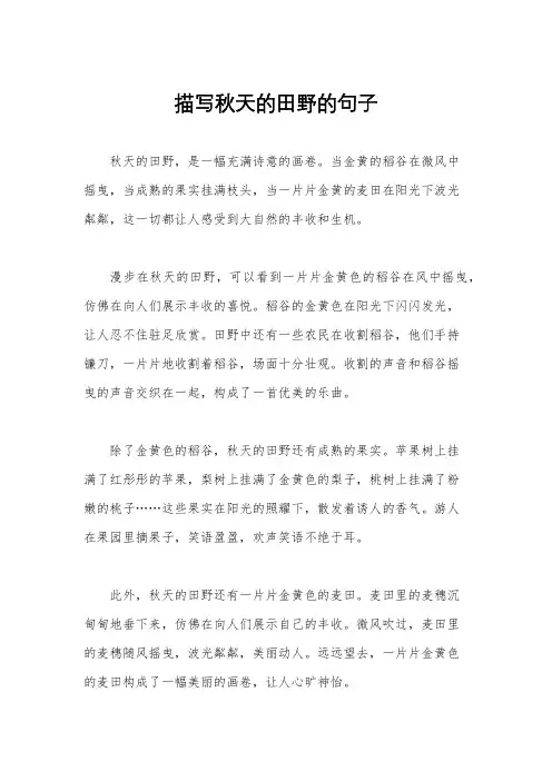 描写秋天的田野的句子