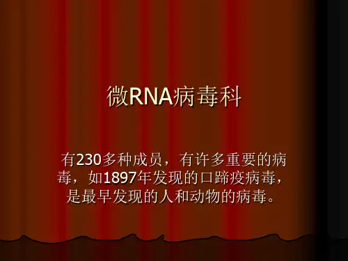 微RNA病毒科PPT课件