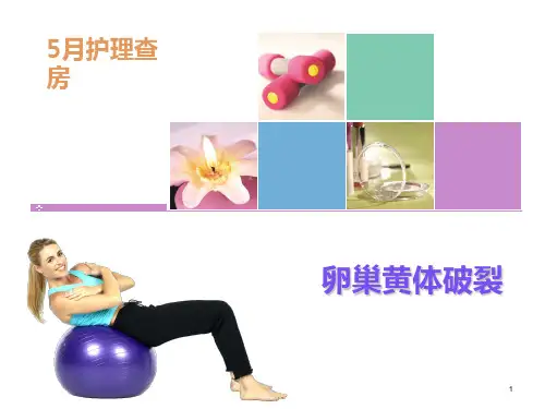黄体破裂参考