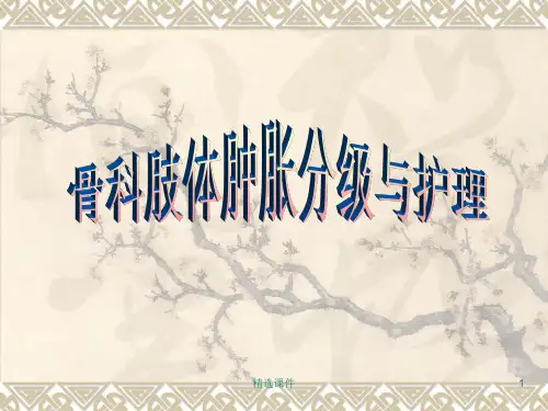 骨科肢体肿胀分级