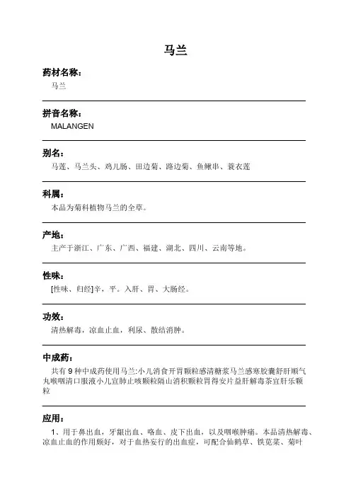 马兰中药材详细说明书