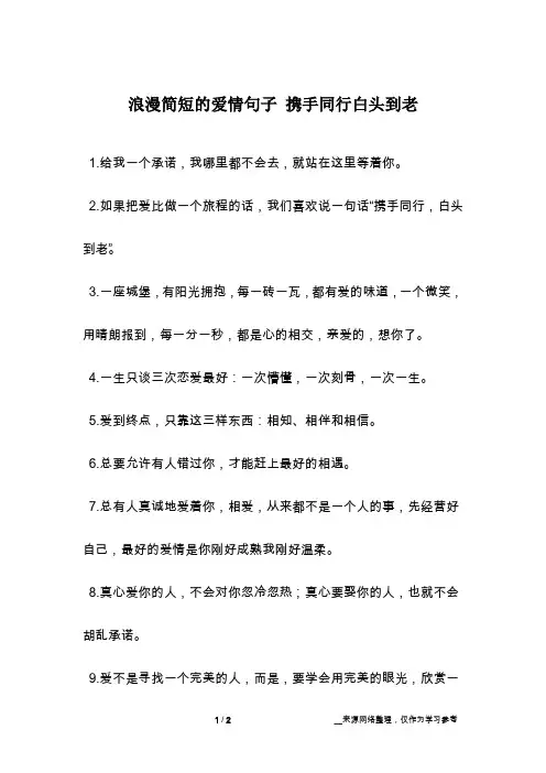 浪漫简短的爱情句子 携手同行白头到老