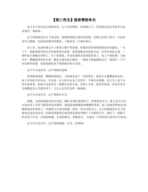 【初二作文】没有雪的冬天