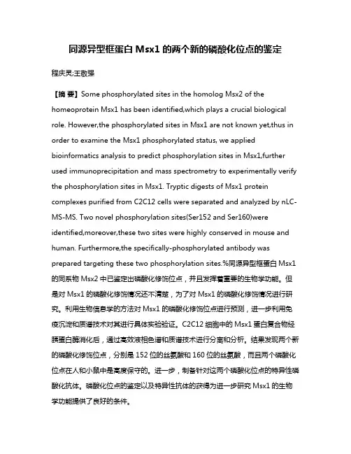 同源异型框蛋白Msx1的两个新的磷酸化位点的鉴定