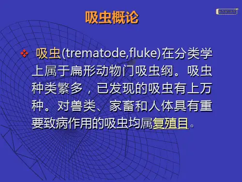 肝吸虫(冯)PPT课件