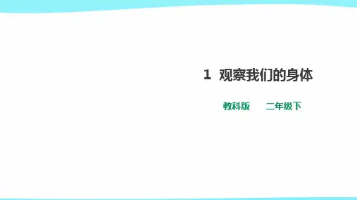 教科版 二年级下册科学 《观察我们的身体》课件