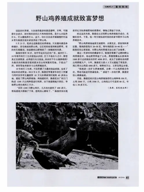 野山鸡养殖成就致富梦想