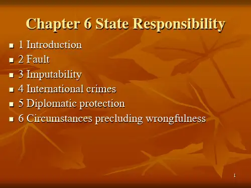 (国际法课件)Chapter 6 State Responsib