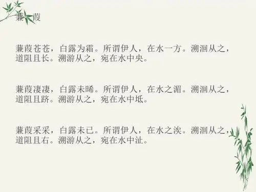 诗经三首PPT(优秀课件)39 人教版