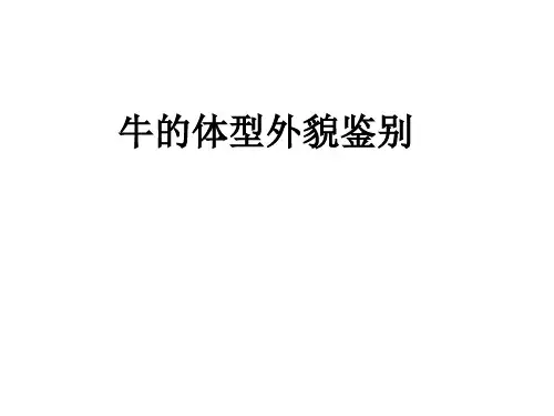 牛的体型外貌及其鉴别课件(1)