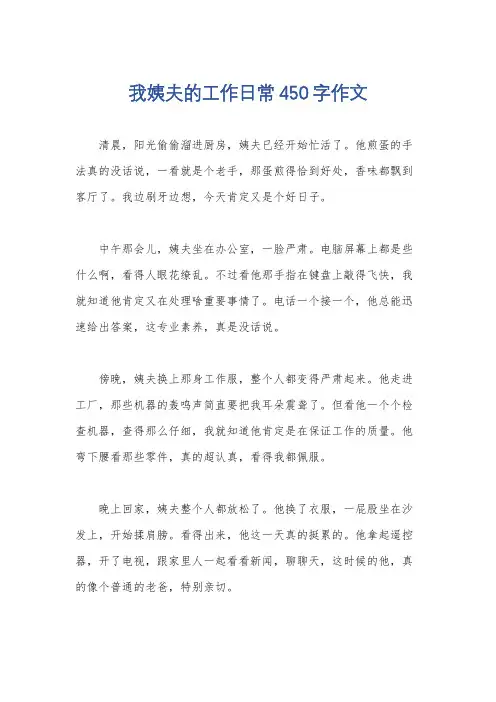 我姨夫的工作日常450字作文