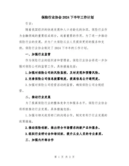 保险行业协会2024下半年工作计划
