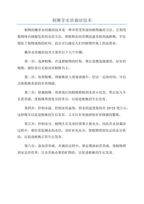 刺嫩芽水培栽培技术