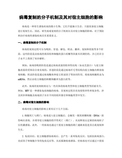 病毒复制的分子机制及其对宿主细胞的影响