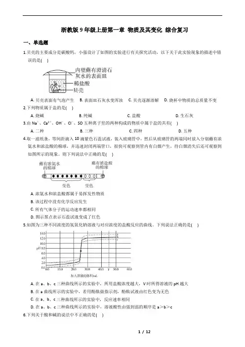 浙教版9年级上册第一章 物质及其变化 综合复习
