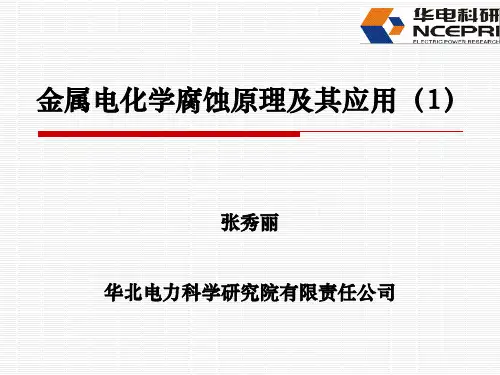 电化学腐蚀基本原理