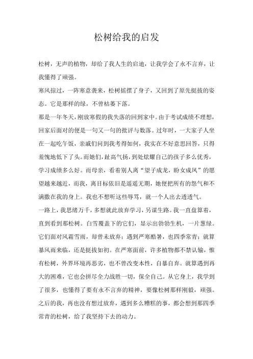 初二状物松树给我的启发
