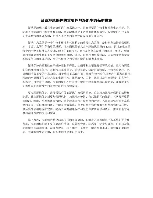 浅谈湿地保护的重要性与湿地生态保护措施