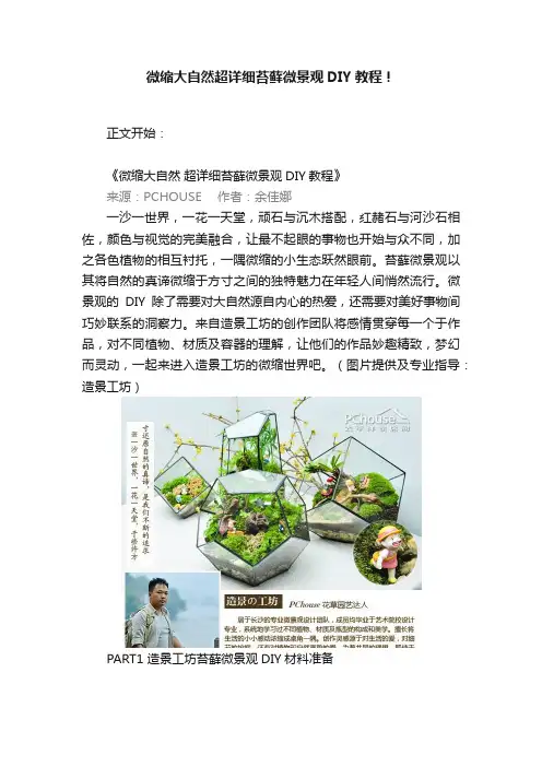 微缩大自然超详细苔藓微景观DIY教程！