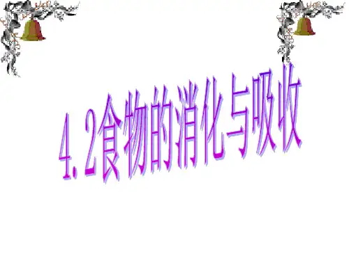 人教版七年级下册生物第二章第二节消化与吸收
