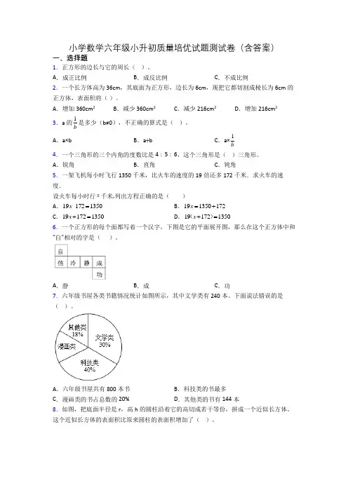 小学数学六年级小升初质量培优试题测试卷(含答案)