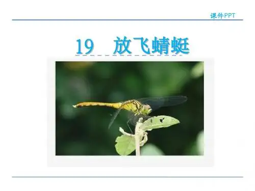 苏教版三年级下册放飞蜻蜓课件