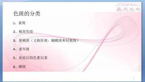 斑的分类ppt课件