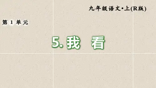 语文九上第5课《我看》习题课件(含答案)