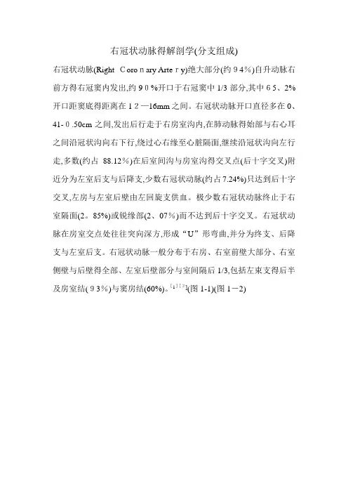 右冠状动脉的解剖学(分支组成)