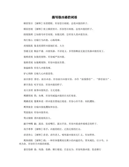 描写很凶恶的词语