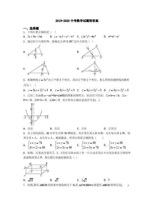 2019-2020中考数学试题附答案