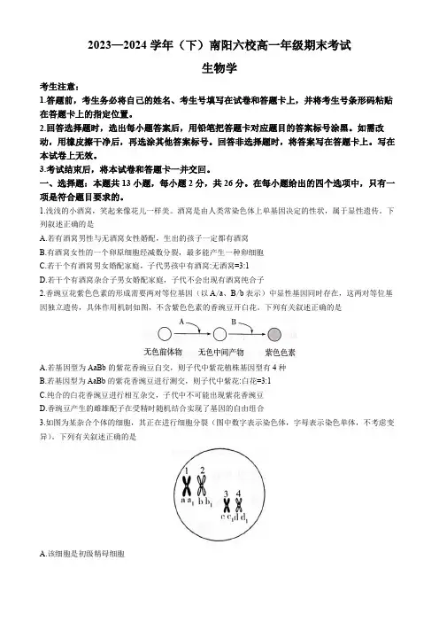 天一大联考2023-2024学年高一下学期6月期末考试 (南阳六校)生物试题+答案