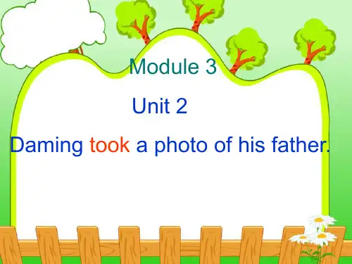 五年级上英语课件-M3U2 Daming took a photo of his father_外研版(三起)