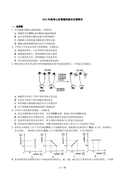 2014山东高考真题生物(含解析)