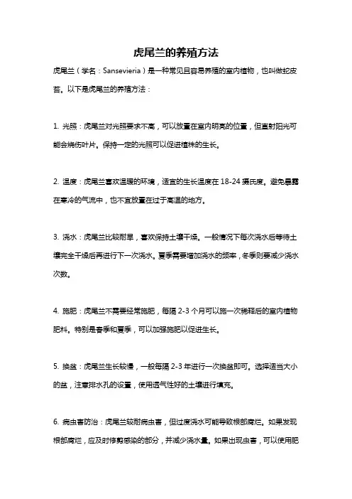 虎尾兰的养殖方法