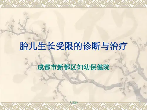胎儿生长受限的诊断与治疗 PPT