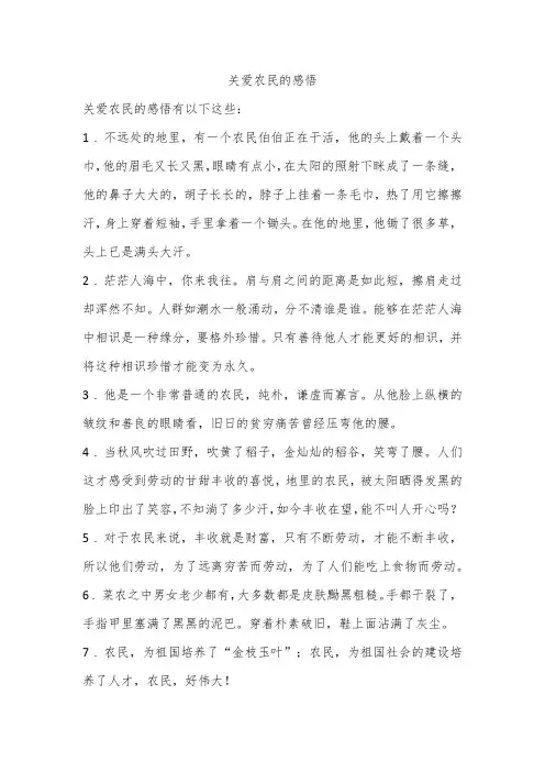关爱农民的感悟