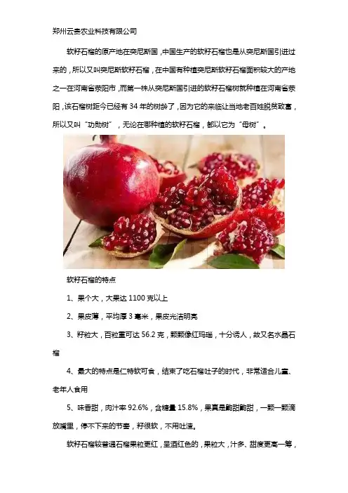 正宗软籽石榴是哪里出产