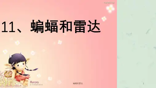 蝙蝠和雷达课件