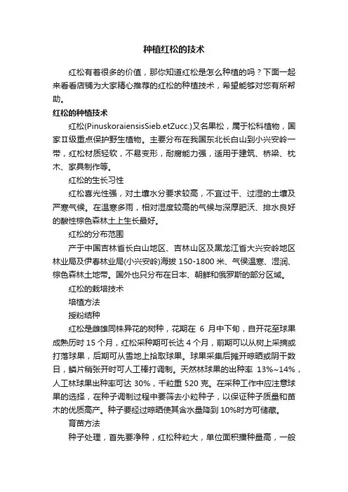 种植红松的技术